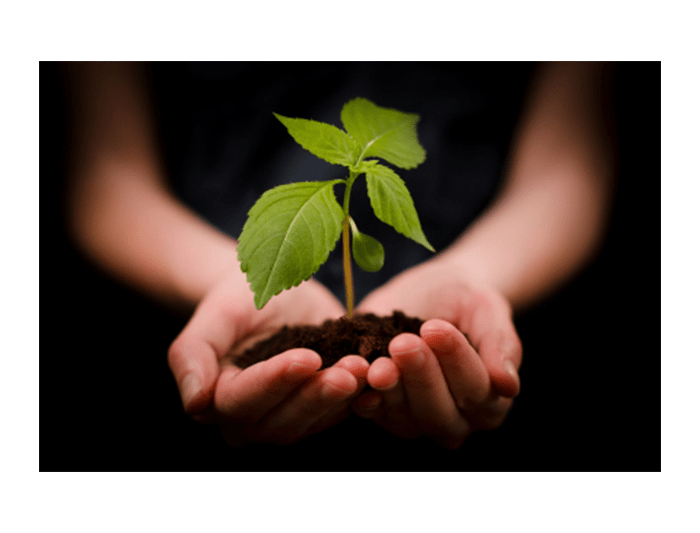 Personal-Development-Broxtowe-Youth-Homelessness